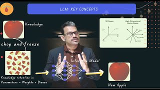 Understanding LLMs: Key Concepts