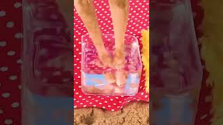 FUNNY VIDEO
