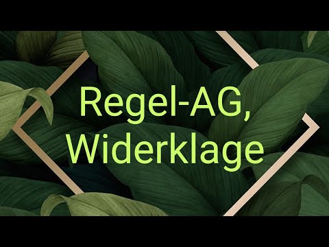 Regel-AG-Widerklage