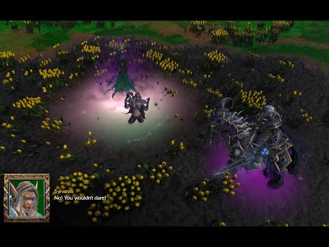 The story of Arthas the first Death Knight  killing Sylvanas  and summoning Archimonde. Cutscene