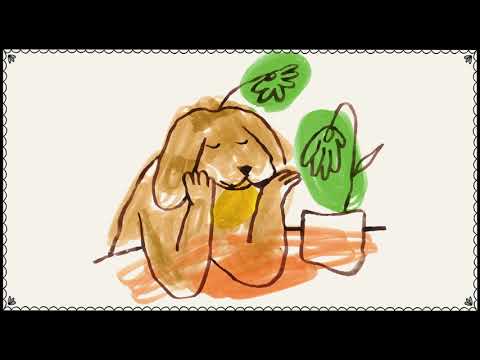 Video thumbnail for I Want to Meet Ur Dog