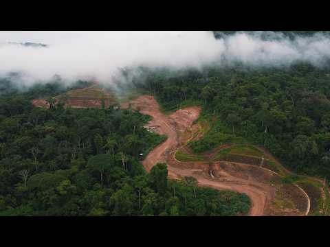 Conquista D'Oeste Mato Grosso MT 445