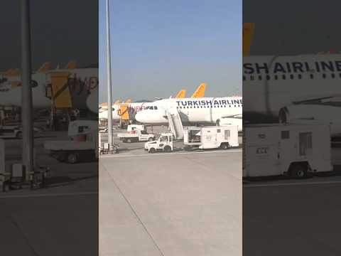 Turkish Airlines at Sabiha Gökçen International Airport (SAW). Istanbul Turkey