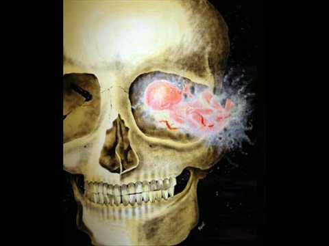 Mr. Metaphor-Rebirth