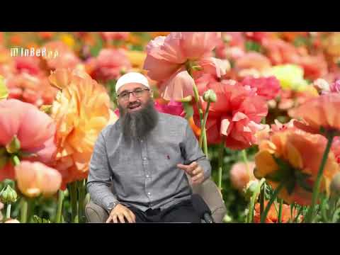 Zikr koji se uči 100 puta nakon klanjanja duha-namaza? - Elvedin Pezić