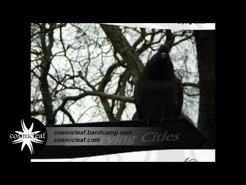 Side Liner - 2222 (Prostranstvo 2008 edit) (Psychill)