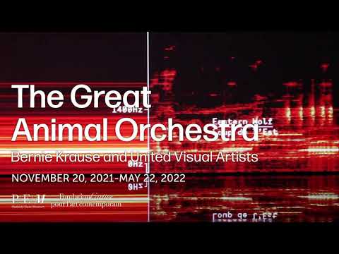 SALEM, MA | "The Great Animal Orchestra" Bernie Krause & United Visual Artists