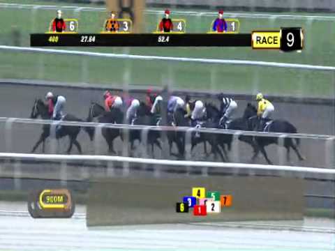 POLYTRACK MILE CHAMPIONSHIP SG3 2015