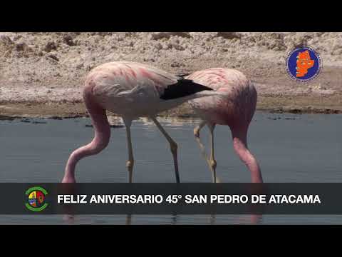 SALUDO DE AMRA ANIVERSARIO POR SAN PEDRO DE ATACAMA 2025