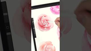 How to paint watercolor roses in procreate