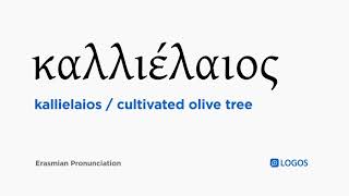 How to pronounce Kallielaios in Biblical Greek - (καλλιέλαιος / cultivated olive tree)