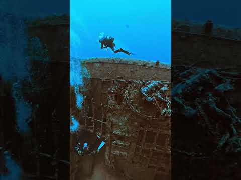 Diving the USS Emmons Wreck in Okinawa, Japan 🤿 #scubadiving #shorts #wreckdiving