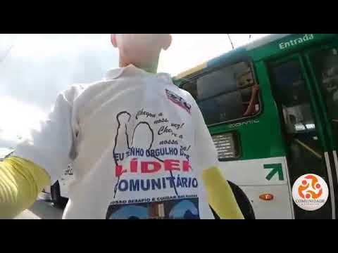 Cobrador locutor Pega a visão na rota do abacaxi e evita um acidente com pé de Pinheiro