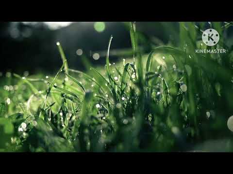 I decorate my boat with flowers