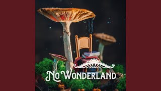 No Wonderland