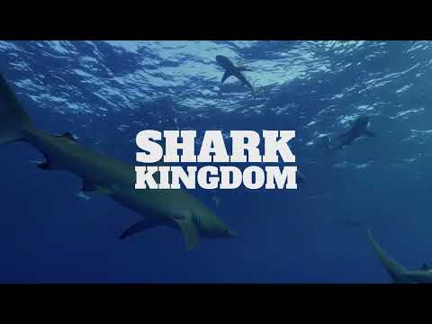 Shark Kingdom Trailer