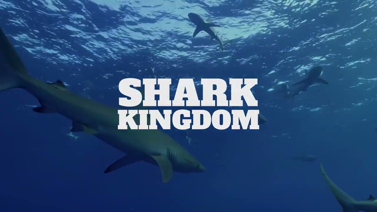 Shark Kingdom Trailer