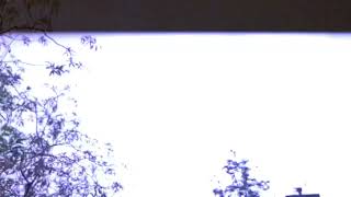 ラスベガスで雷と雨