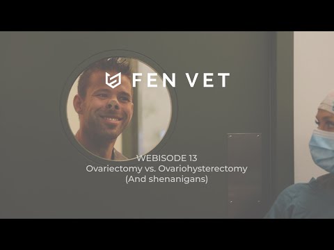 Fen Vet Webisode 13: Ovariectomy vs Ovariohysterectomy