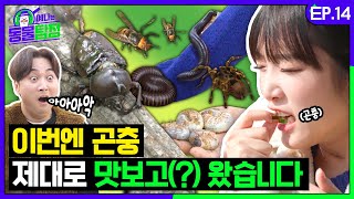 [影音] 211123 YouTube 叡娜是動物偵探