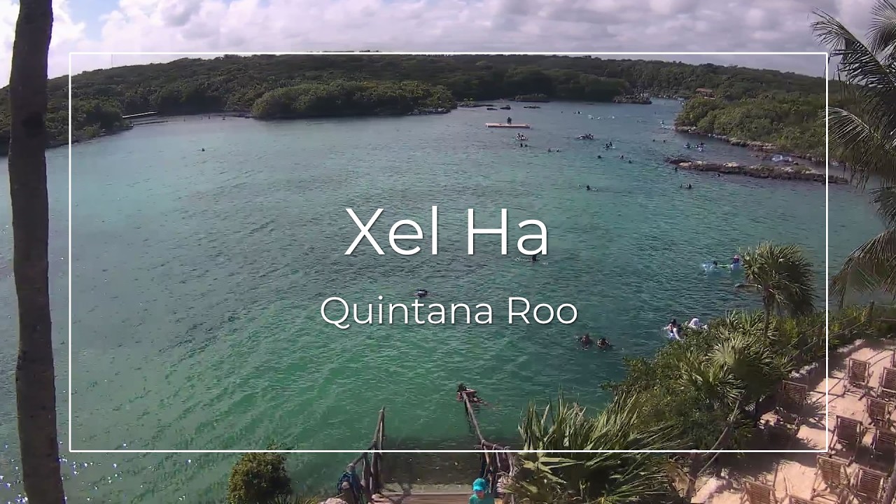 Live webcam view of Xel-Há Lagoon, Riviera Maya