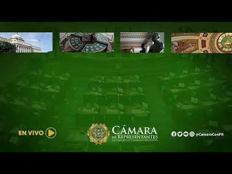 Vista Publica Comision Anti Corrupción e Integridad Pública