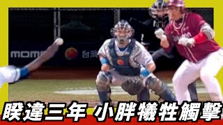 [分享] 林泓育 成功犧牲觸擊短打影片