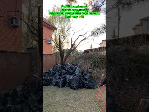 Расчистка сада, уборка участка, стрижка травы, бурьянов, обрезка деревьев: Осокорки, Березняки, Славутич - фото 3 - id-p2483178840