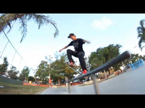 Affection Skateboards - Shapes skull series 2014 - Willian gaspare ''TARZAM''