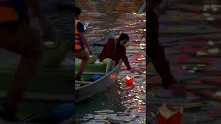 Lantern Festival in Hoi An, Vietnam