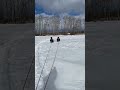 Winter Fun Kids Snow Sledding Shorts Shortsvideo Goodtimes Fun