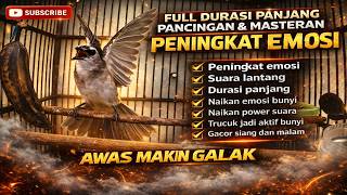 Download lagu TRUCUKAN GACOR EMOSI BUNYI PANCINGAN MASTERAN TERBAIK TRUCUK CEPAT EMOSI RAJIN BUNYI mp3