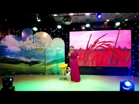 Lúa Mùa Duyên Thắm - Hằng Phạm