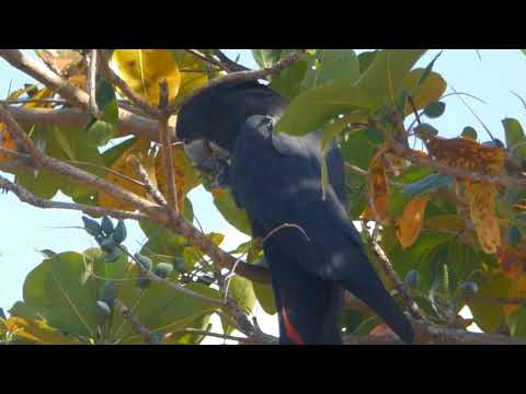 Mackay District, Queensland, Australia