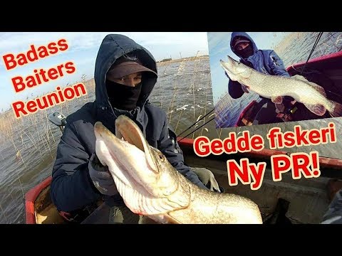 Gedde Fiskeri Marts 2K19 Badass Baiters Reunion