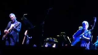 8 Your Gold Teeth STEELY DAN Jiffy Lube Live Bristow VA 9-20-2013 by CLUBDOC