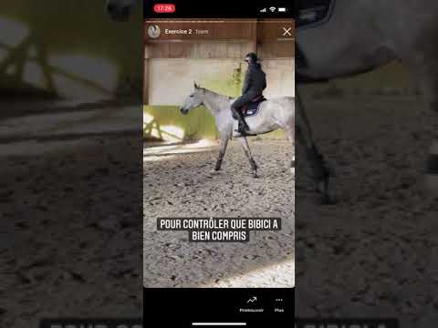 Exercice 2 les jambes