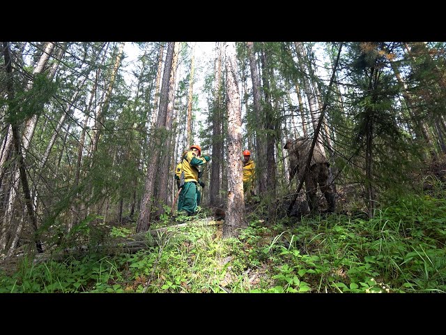 Противопожарный режим продлили