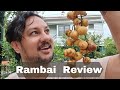 Rambai Baccaurea Review Seeds Planting Growing