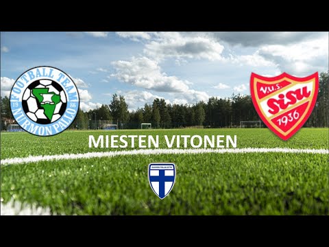 MIESTEN VITONEN