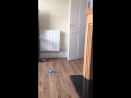 Cinderella Loses Your Glass Slipper