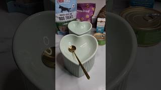 Feed my cats 🍽 #asmr #asmrcat #catshorts #catfood #catfeeding #catvideos #cat #cateating #youtube