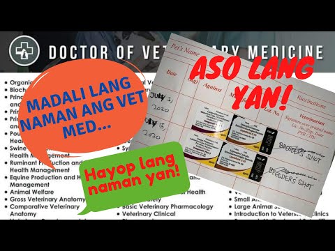 Madali lang naman mag Vet Med | Hayop lang naman yan | Paano ba maging vet? | D' Jem