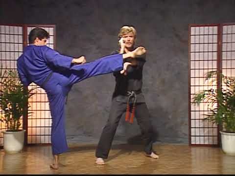 Swinging Pendulum | Purple Belt | Kenpo Karate | Larry Tatum