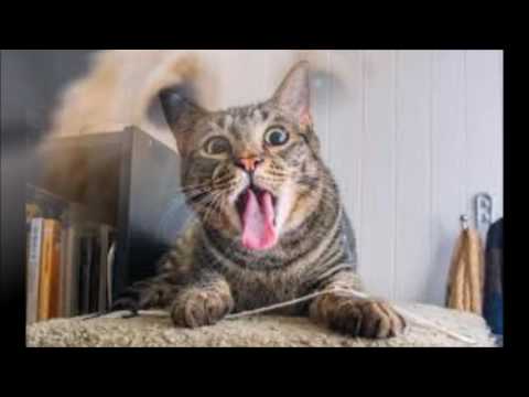 Jack and Jill, Archie Campbell