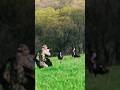 Insane Turkey Hunting Shot | 6 YARDS!!!  “TURKEY REAPING” #turkeyseason #viralvideos