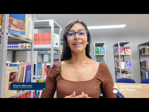 🎬 EN EL DIQUE #25 | ¡Ya disponible!