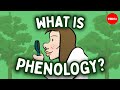 Phenology and nature's shifting rhythms - Regina ...