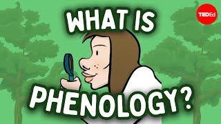 Phenology and nature's shifting rhythms - Regina Brinker