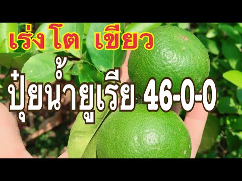 ครีมที่แข็งแกร่งสำหรับโรคสะเก็ดเงิน ครีมขี้ผึ้งจากโรคสะเก็ดเงิน
